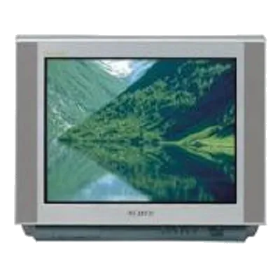 Ремонт Samsung CS-25A6 WTQ