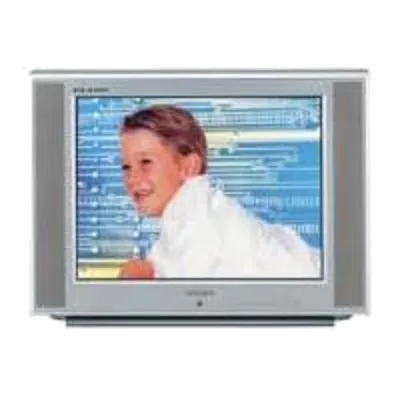 Ремонт Samsung CS-29 A6MTR