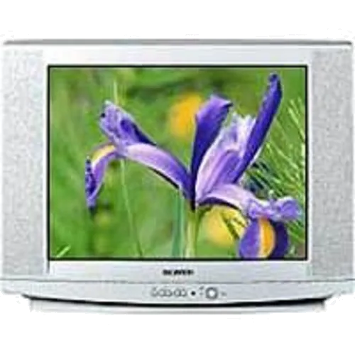 Ремонт Samsung CS-29U2 WTR