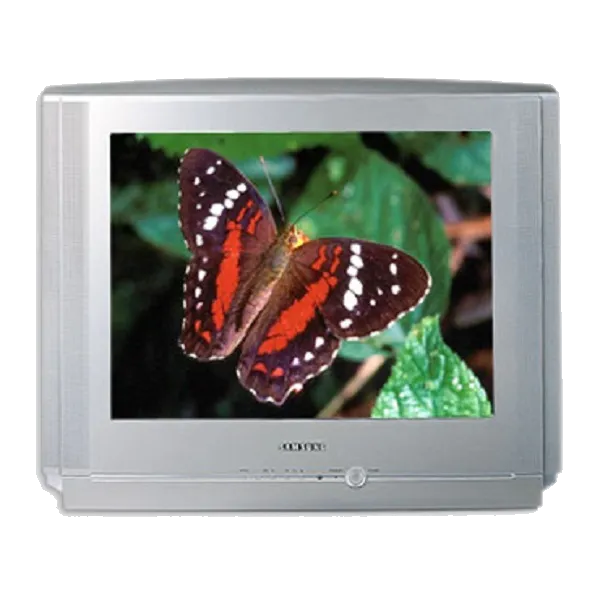 Ремонт Samsung CS-21V5 R
