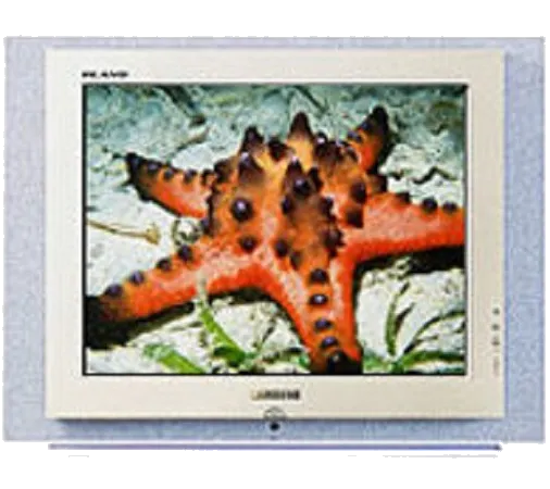 Ремонт Samsung CS-29Z4HNQ