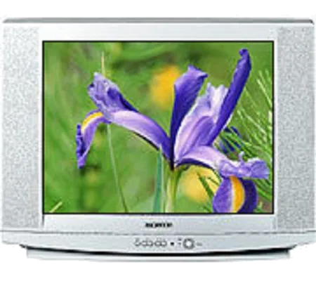 Ремонт Samsung CS-29U2 R