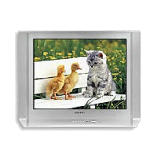 Ремонт Samsung CS-29 V10 MGR