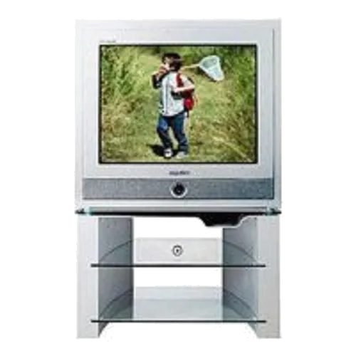 Ремонт Samsung CS-34Z7HWQ