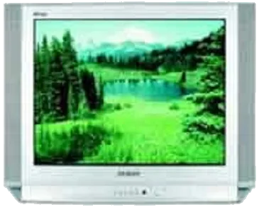 Ремонт Samsung CS-29D8 WTR