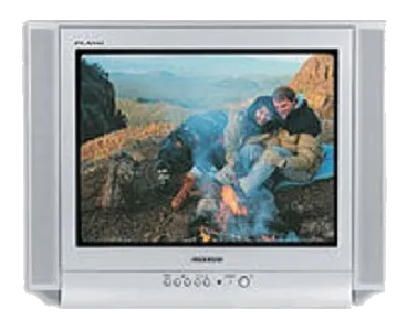 Ремонт Samsung CS-21K5