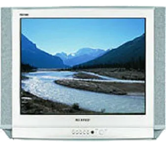 Ремонт Samsung CS-25D8 R