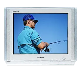 Ремонт Samsung CS-25M6 HPQ