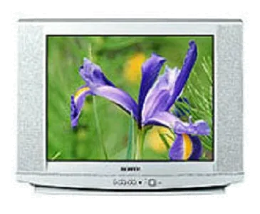 Ремонт Samsung CS-29U2Q