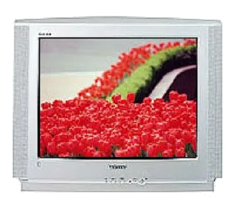Ремонт Samsung CS-29V5WTR