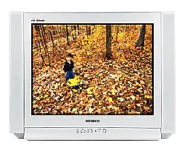 Ремонт Samsung CS-29K5WTQ