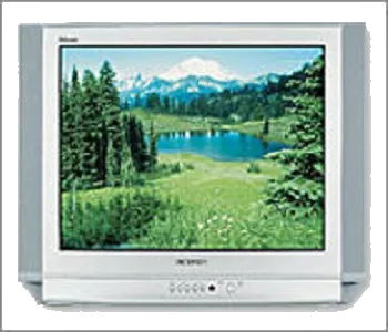 Ремонт Samsung CS-25D8 WTR