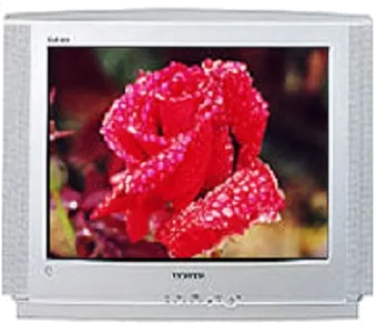 Ремонт Samsung CS-25V5 WTR