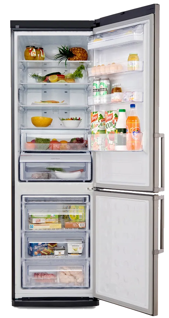 Ремонт Samsung RL-41 ECTB